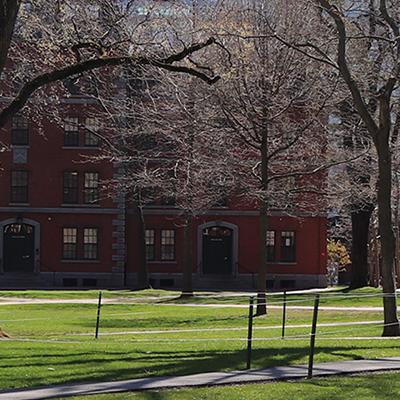 Harvard yard